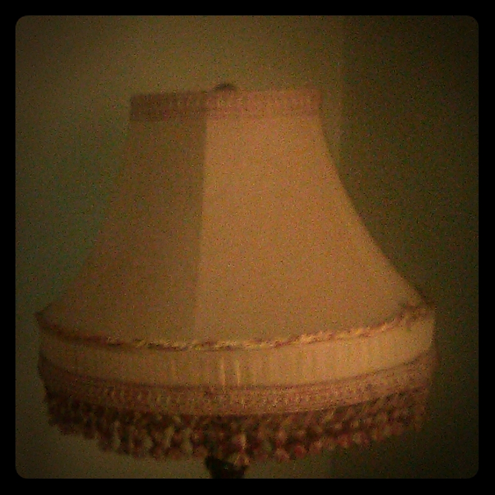 Set of 2 Vintage Lamp Shades